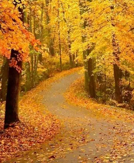 تاثیر آب و هوای پاییز بر آلودگی هوا
