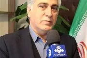 انتصاب معاون امور زراعت وزارت جهاد کشاورزی 
