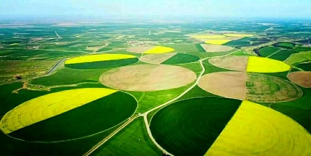 بازگشت کشت و صنعت مغان به بیت المال