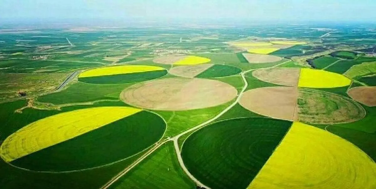 بازگشت کشت و صنعت مغان به بیت المال