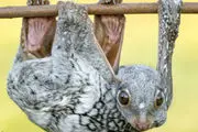 دنیای حیوانات / گزارش تصویری