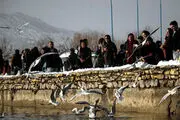 زریوار در محاصره/ گزارش تصویری