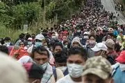 مهاجران هندوراسی فوراً به کشورتان بازگردید