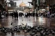 اولین بارش باران پاییزی در نجف/ گزارش تصویری