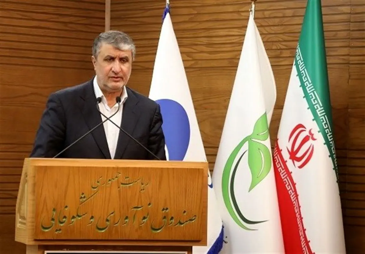 باید سهم برق هستهای در سبد انرژی کشور را به ۲۰ درصد برسانیم