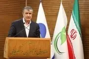 باید سهم برق هسته‌ای در سبد انرژی کشور را به ۲۰ درصد برسانیم