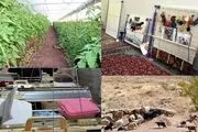 افتتاح ۱۴۲ هزار طرح اشتغال روستایی