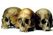  کشف هویت صاحب جمجمه کشف شده در ولنجک 
