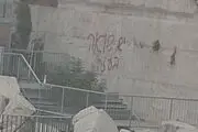 خشم صهیونیست‌ها از نوشتن شعار اعتراضی بر دیوار ندبه