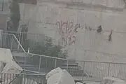 خشم صهیونیست‌ها از نوشتن شعار اعتراضی بر دیوار ندبه