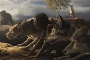 «تارزان» به سینماها برمی گردد /عکس