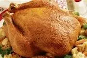 آیا گوشت پرندگان را بخوریم؟