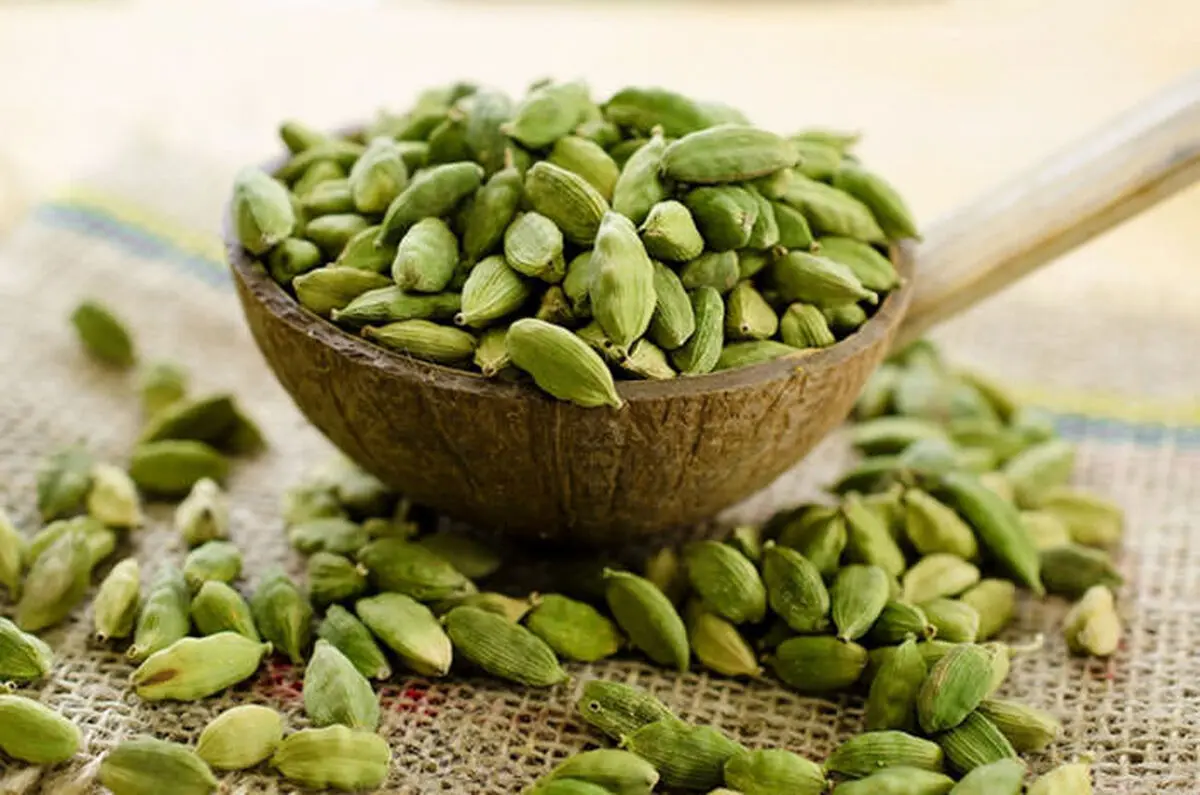 گیاهی معجزه گر برای آنان که دیابت و فشار خون دارند