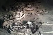
اعزام کارشناسان کمیته جستجوی مفقودان به آبادان
