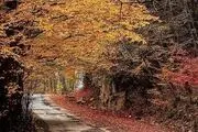 گیلان در آخرین روزهای پاییز/ گزارش تصویری