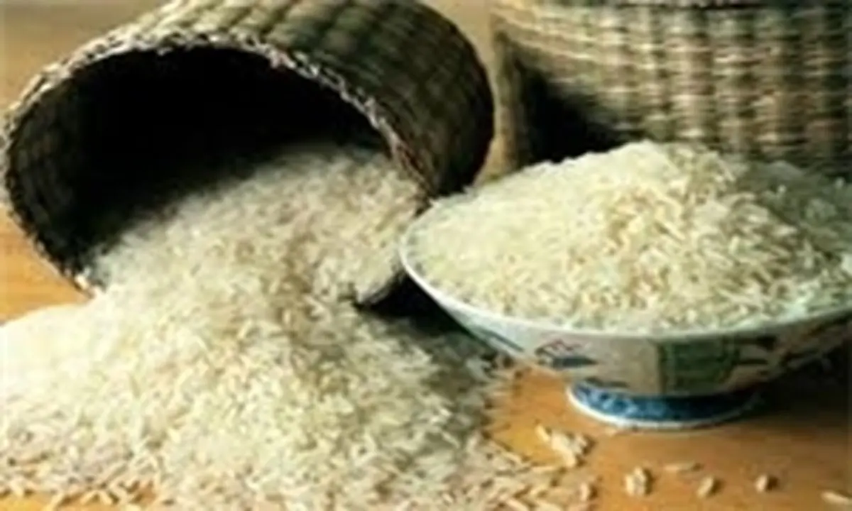 آلودگی برنج ایرانی تکذیب شد