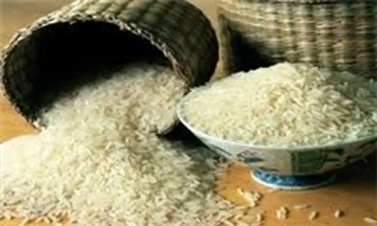 آلودگی برنج ایرانی تکذیب شد