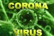 کمبود وسایل محافظت و برهنه شدن پزشکان آلمانی معترض/فیلم
