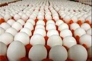تخم مرغ بعد از شیر مادر دومین ارزش غذایی
