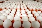 تخم مرغ بعد از شیر مادر دومین ارزش غذایی