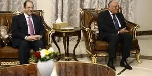 اتحاد قاهره و دمشق برای مقابله با ترکیه؟