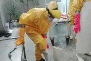 حضور بانوان جهادگر در غسالخانه قم+ تصاویر