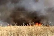  آمریکا مزارع سوریه را به آتش کشید

