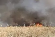  آمریکا مزارع سوریه را به آتش کشید

