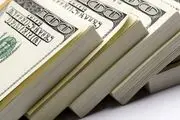 افزایش مستمر تعداد عرضه کنندگان در مرکز مبادله ارز