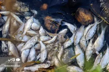 309ac387d7cc4ba2b8a10cbe6480cbf8