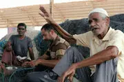 افشای پشت‌پرده ماجرای کشتی‌های چینی در دریای خلیج فارس/ عکس