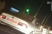 
سگ گردانی دلیل برکناری یک مدیر دولتی+عکس
