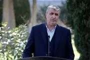واکنش اسلامی به ادعاها درباره غنی‌سازی
