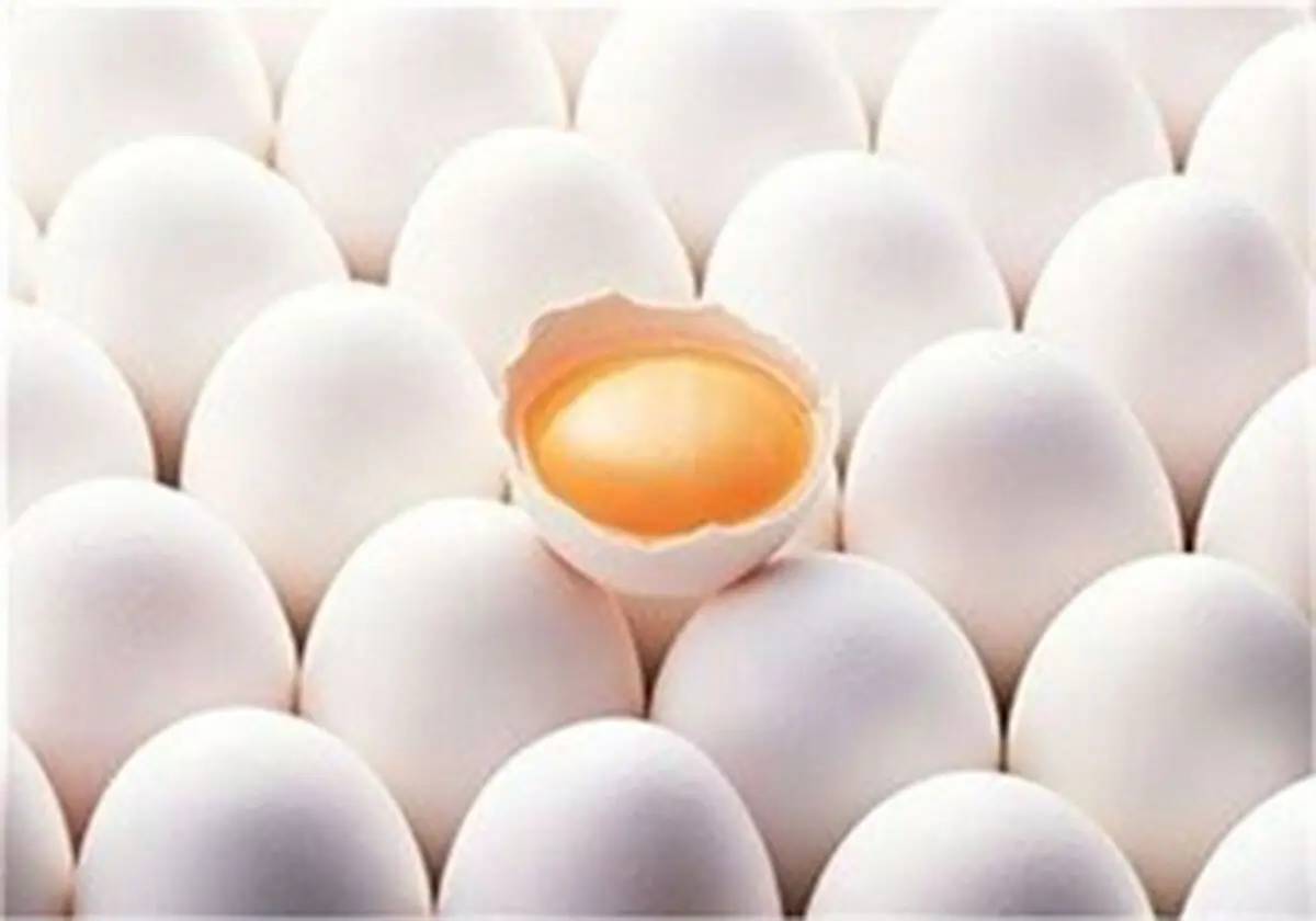 سایه شوم آنفلوانزا بر بازار  مرغ و تخم مرغ