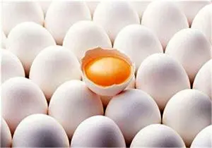 تخم‌مرغ صادراتی کیلویی ۴۲۰۰ تومان