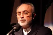 صالحی از ساخت بیمارستان هسته‌ای خبرداد