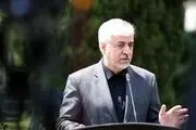 نظر وزیر ورزش و جوانان درباره شرکت در مسابقات کشورهای اسلامی