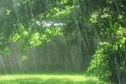 بارش برف و باران در برخی مناطق کشور