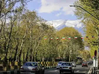  شناسایی 106 درخت چنار کهنسال در خیابان ولی عصر (عج)