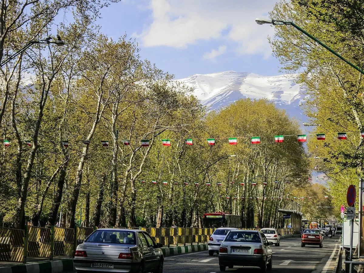 جایگزینی بیش از ۳ هزار درخت چنار در خیابان ولی عصر
