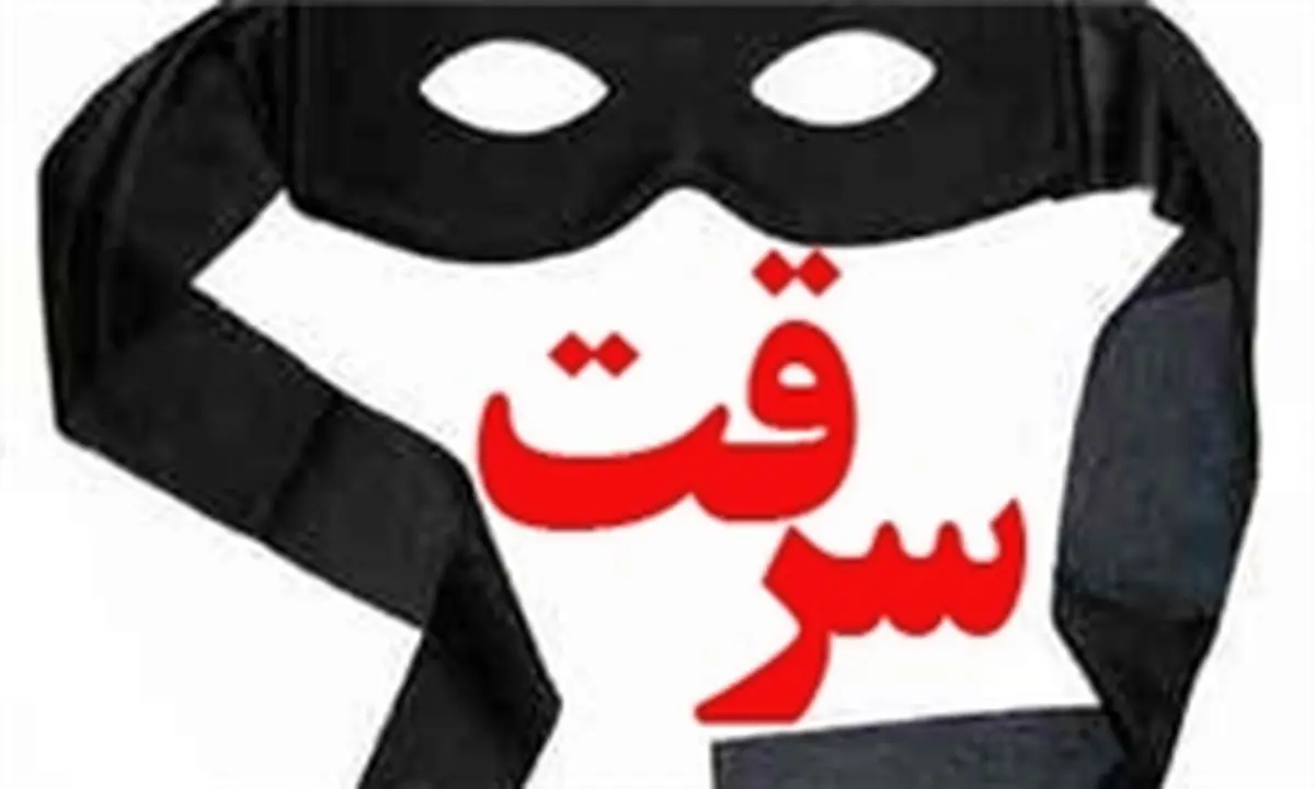 سرقتهای عجیب دختر فوق لیسانس در شمال شهر