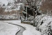 بارش برف و باران در ایران رکورد زد