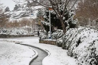 بارش برف و باران در ایران رکورد زد