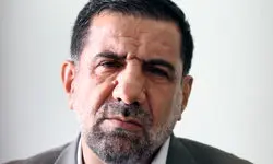 کوثری: ترور احمدی روشن هدفمند بوده است