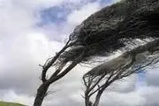 سیل دبی طوفان به پا کرد| سیل دبی و شنا کردن هواپیماها