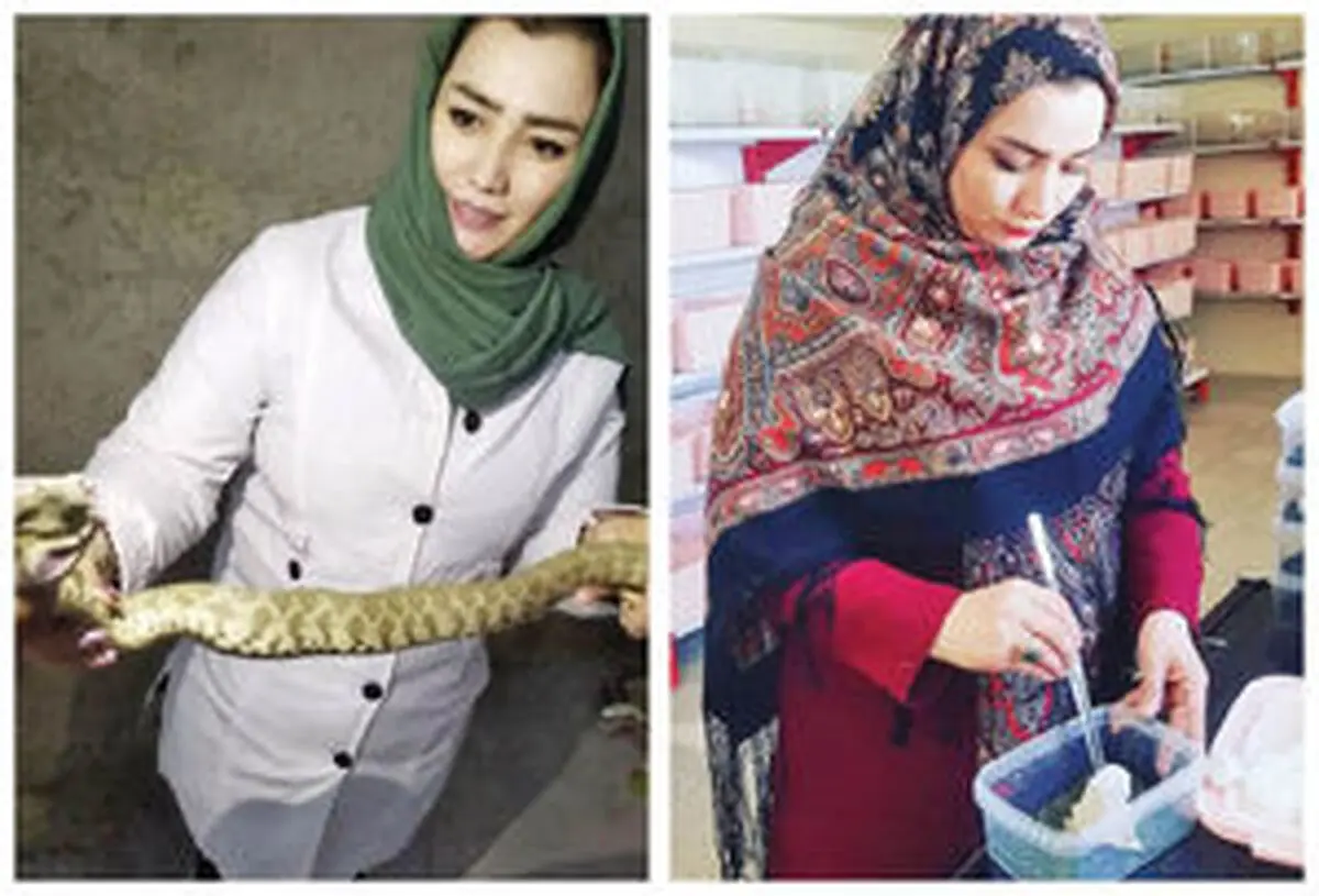 این زن اردبیلی ملکه مارها است +عکس

