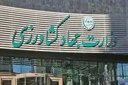 لوبیا چیتی هم قیمت گوشت شد