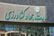 لوبیا چیتی هم قیمت گوشت شد