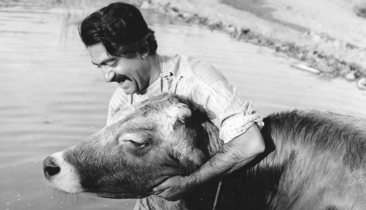 «گاو» مهرجویی در افتتاحیه جشنواره فیلم‌های ایرانی در زوریخ