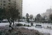  بارش برف زمستانی در تهران/ گزارش تصویری